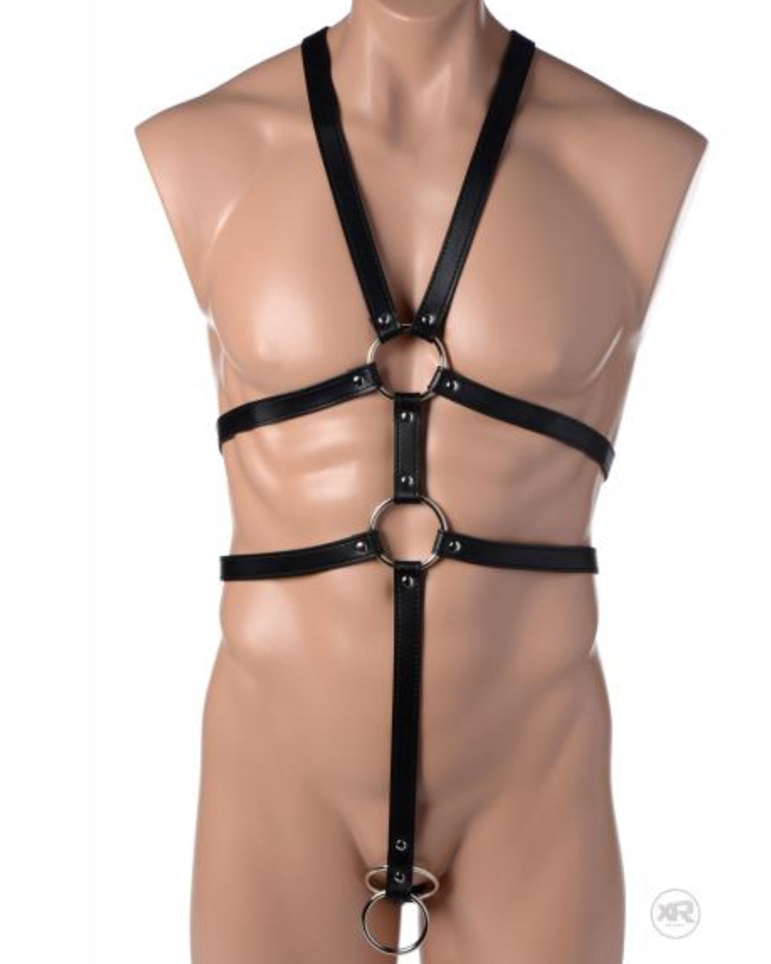 Male Full Body Leather Harness - Black  on body