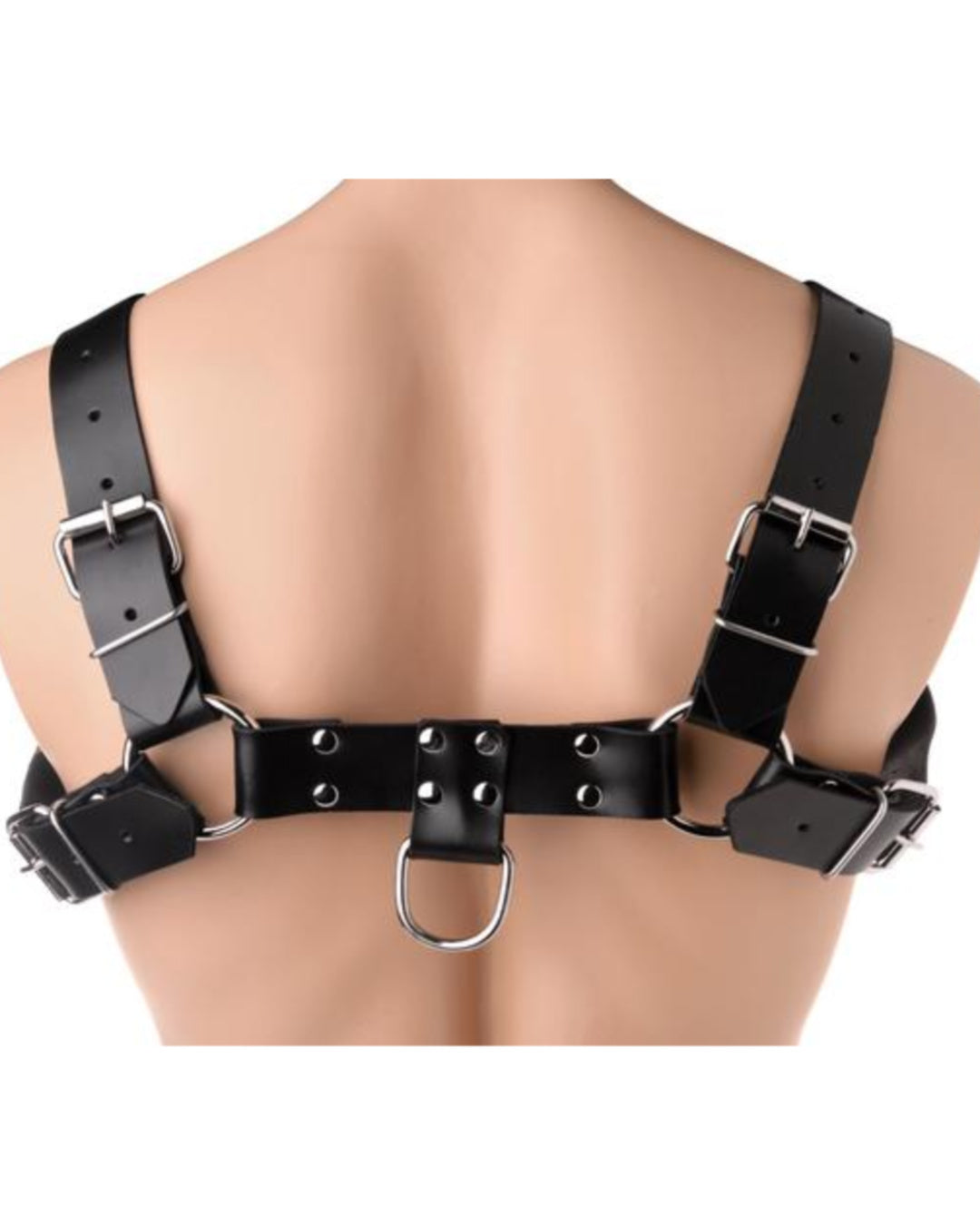 English Bull Dog Leather Harness - Black  on Mannequin Back