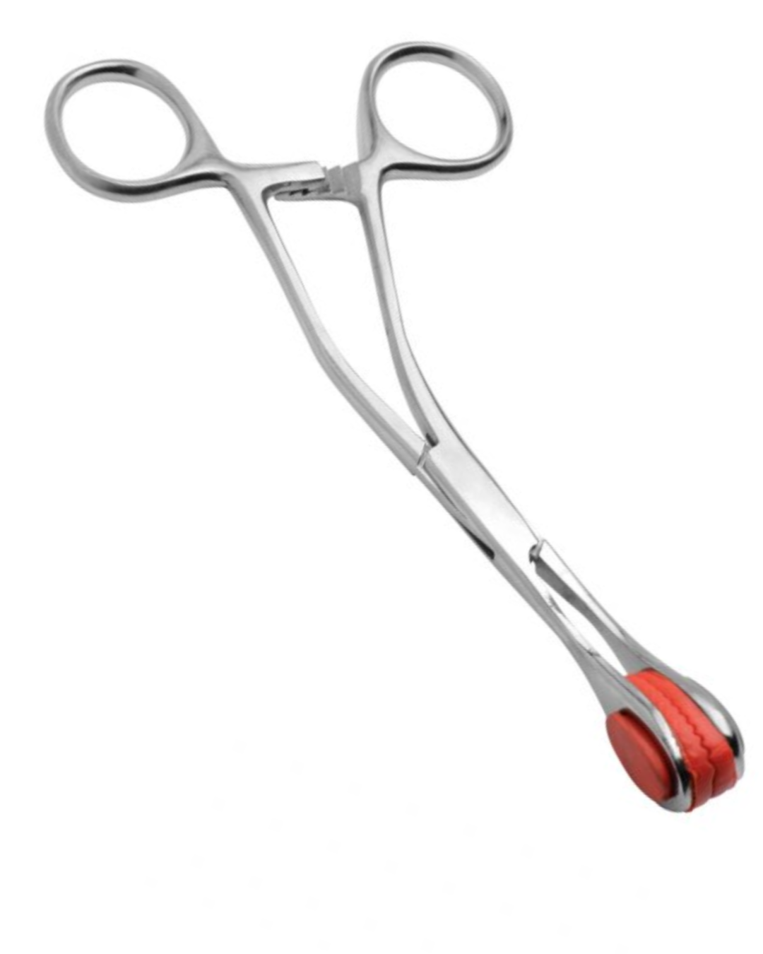Mistress Isabella Sinclaire Stainless Steel Forceps