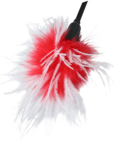 Sex & Mischief Whip & Tickle Feather Tickler & Whip - Red & White close up of the tickler